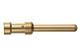 CONTACTO MACHO DORADO Han E 2,5MM