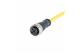 M12 A-cod 4-pol st/- f/- PVC 2m
