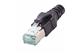 DualBoot RJ45 PP IP20 Cat.6A 8pol black