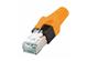 DualBoot RJ45 PP IP20 Cat.5e 8pol orange