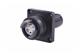 expBeam BHSQ 4CH SM