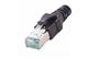 DualBoot RJ45 IP20 Cat.6A, 8pol., black