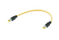 Cables de sistema RJI 10G