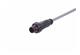 M12 A-cod 3-pol st/- m/- PPi PVC 1.0m