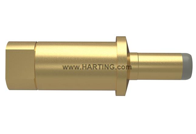 Han TC300_CT_HMC_M_SCT_Au_prot._long