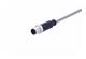 M12 A-cod 8-pole st/- m/- PVC 5.0m
